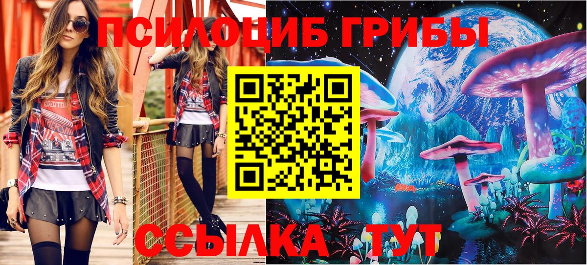 Вольск  Псилоцибиновые грибы мухоморы  Вход с VPN 