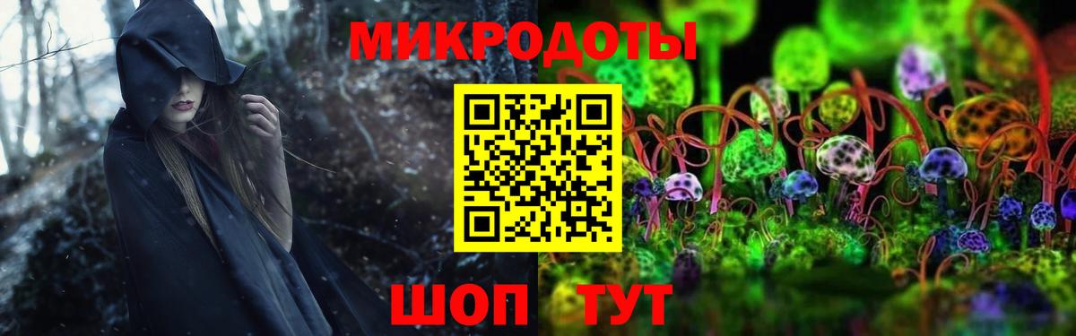 Псилоцибиновые грибы Psilocybe Вольск
